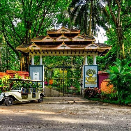 Kairali - The Ayurvedic Healing Village Palakkad Zewnętrze zdjęcie