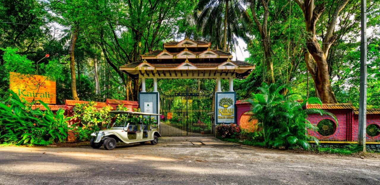 Kairali - The Ayurvedic Healing Village Palakkad Zewnętrze zdjęcie