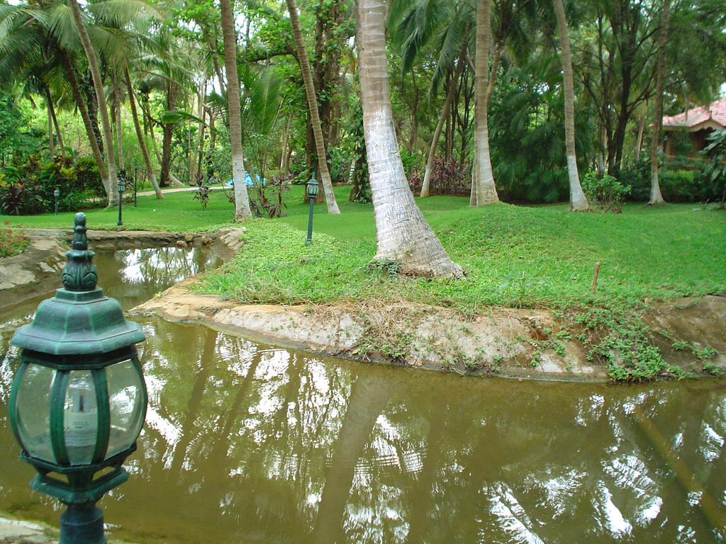 Kairali - The Ayurvedic Healing Village Palakkad Zewnętrze zdjęcie